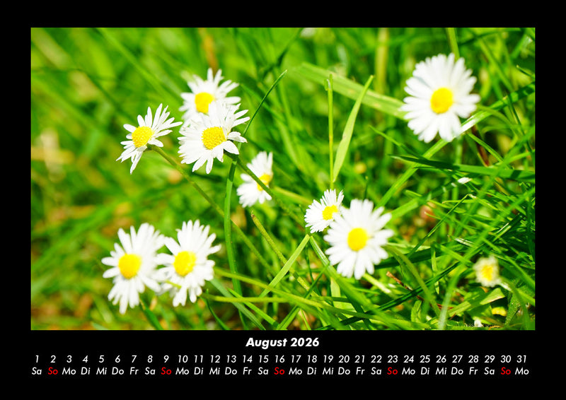 Blumenträume Fotokalender 2026 - 8