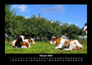 Tiere auf dem Bauernhof Fotokalender 2026 - 2