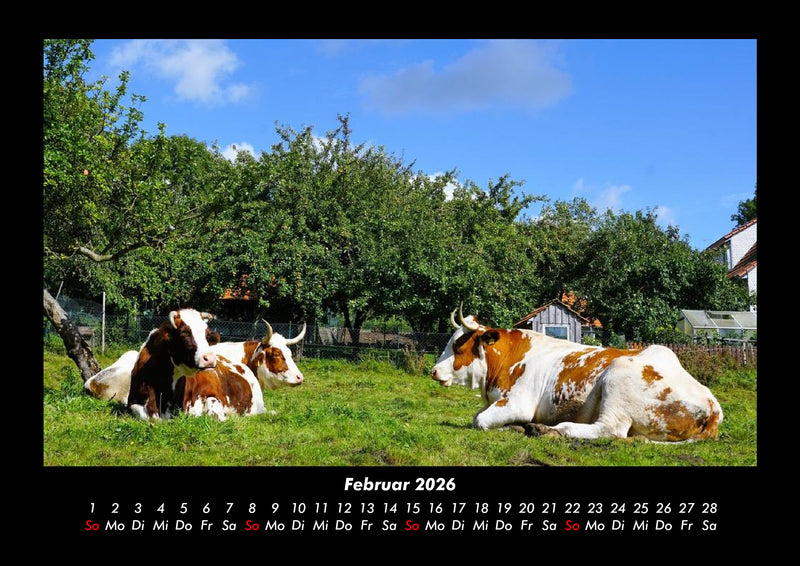 Tiere auf dem Bauernhof Fotokalender 2026 - 2