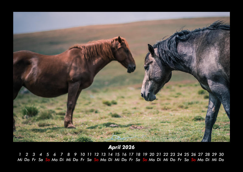 Tiere auf dem Bauernhof Fotokalender 2026 - 4