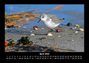Nordsee Fotokalender 2026 - 4