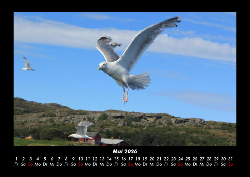 Nordsee Fotokalender 2026 - 5