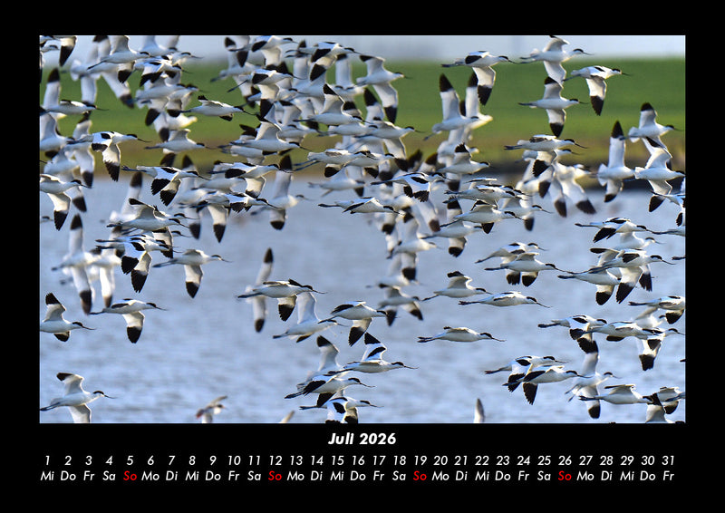 Nordsee Fotokalender 2026 - 7