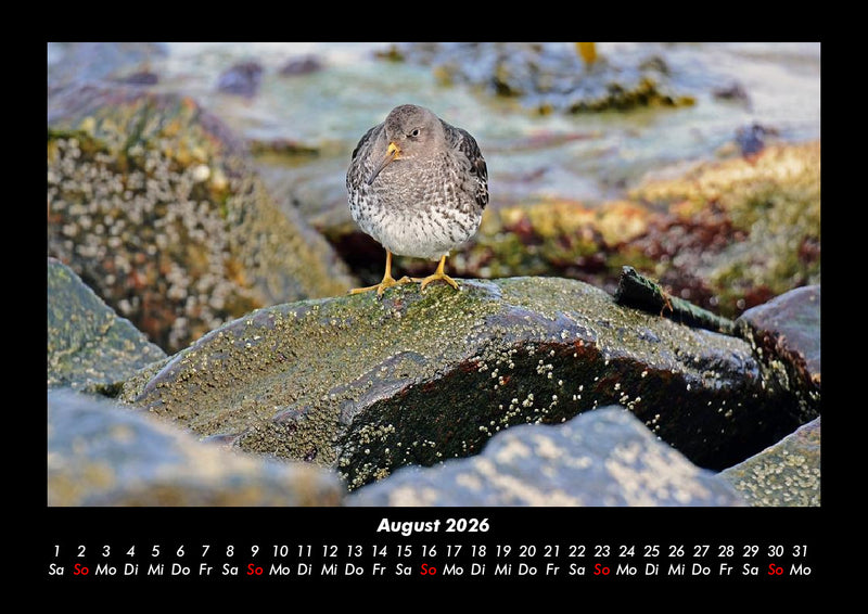 Nordsee Fotokalender 2026 - 8