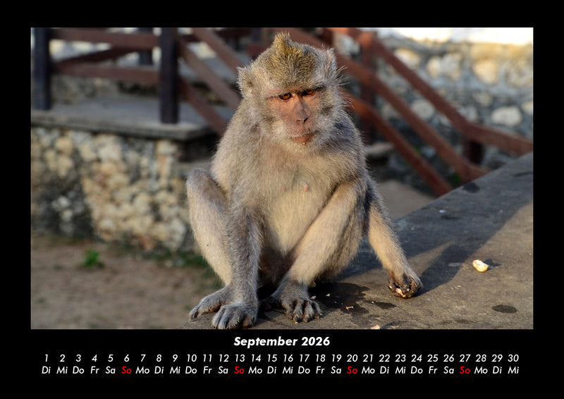 Indonesien Fotokalender 2026 - 9