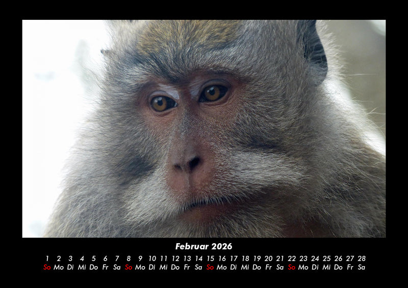 Indonesien Fotokalender 2026 - 2