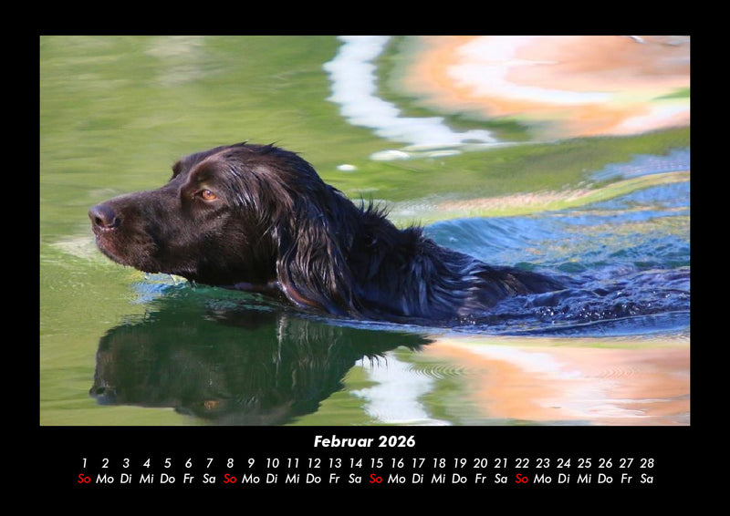 Tage am See Fotokalender 2026 - 2