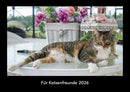 Für Katzenfreunde Fotokalender 2026 - Hauptbild