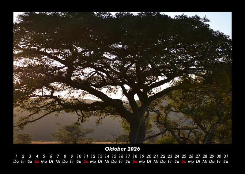 Bäume Fotokalender 2026 - 10