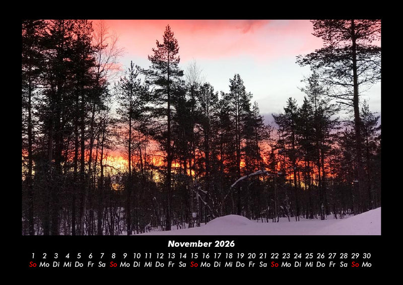 Bäume Fotokalender 2026 - 11