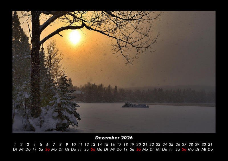 Bäume Fotokalender 2026 - 12