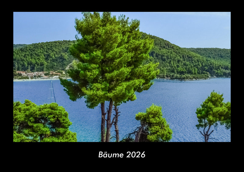 Bäume Fotokalender 2026 - Hauptbild