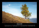 Bäume Fotokalender 2026 - 2