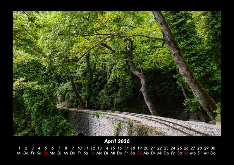 Bäume Fotokalender 2026 - 4