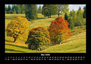 Bäume Fotokalender 2026 - 5