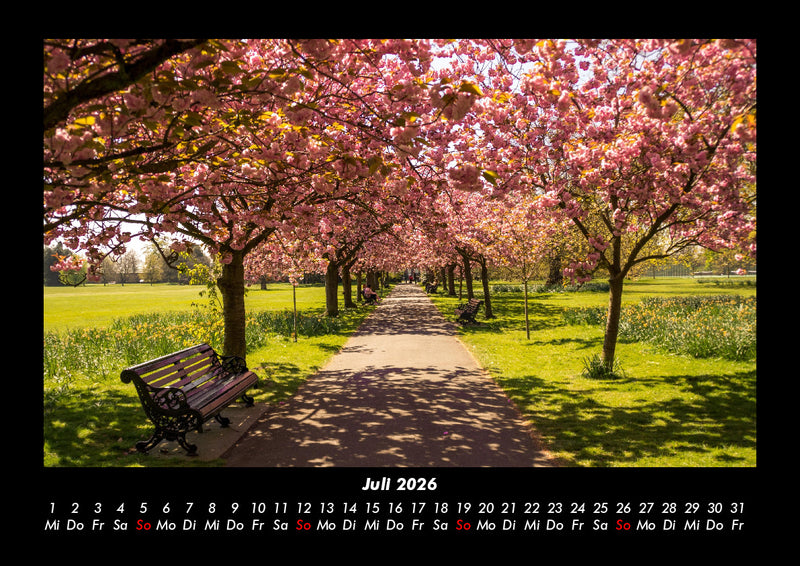 Bäume Fotokalender 2026 - 7