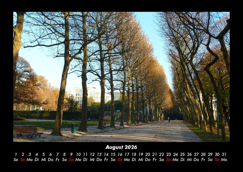 Bäume Fotokalender 2026 - 8