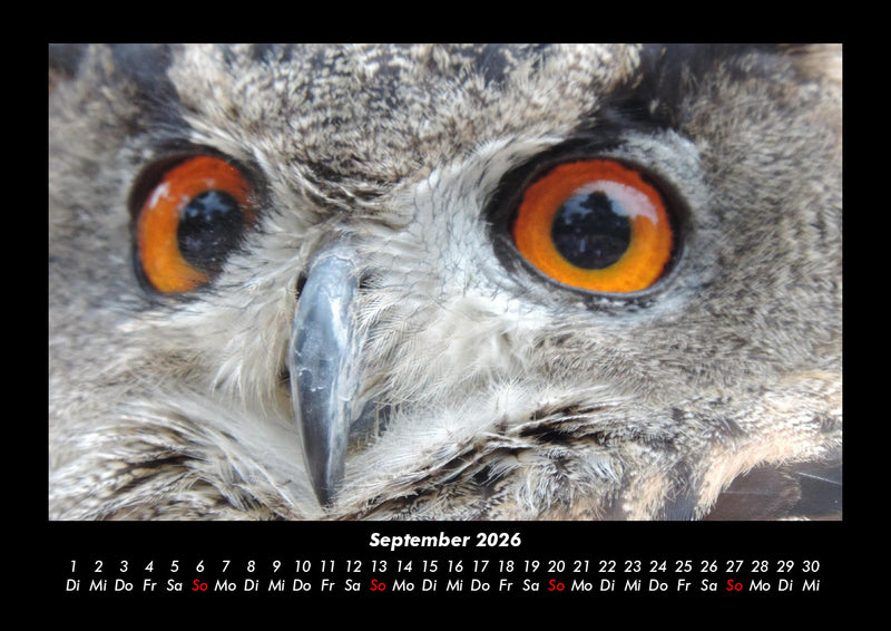 Welt der Tiere Fotokalender 2026 - 9