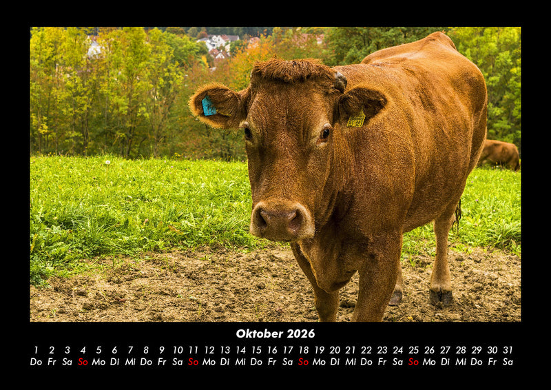 Welt der Tiere Fotokalender 2026 - 10