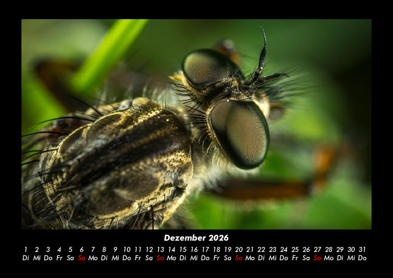 Welt der Tiere Fotokalender 2026 - 12