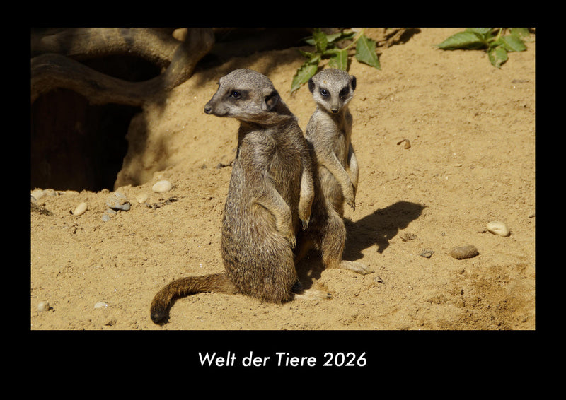 Welt der Tiere Fotokalender 2026 - Hauptbild