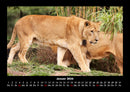 Welt der Tiere Fotokalender 2026 - 1