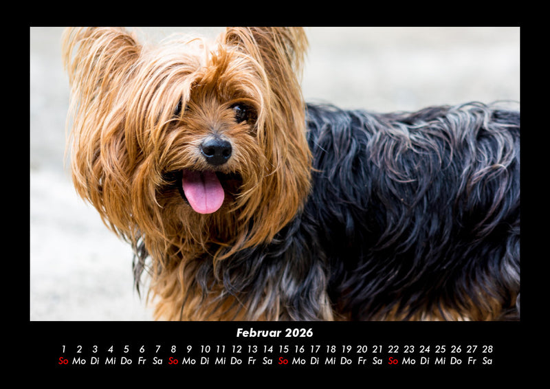 Welt der Tiere Fotokalender 2026 - 2