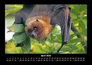 Welt der Tiere Fotokalender 2026 - 4