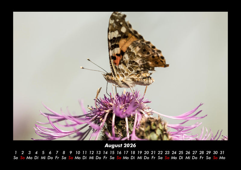 Welt der Tiere Fotokalender 2026 - 8