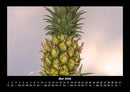 Obstkalender Fotokalender 2026 - 5