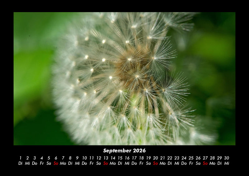 Unser Heimatplanet Fotokalender 2026 - 9