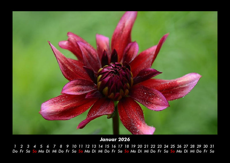 Unser Heimatplanet Fotokalender 2026 - 1