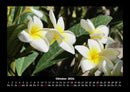 Blumenträume Fotokalender 2026 - 10