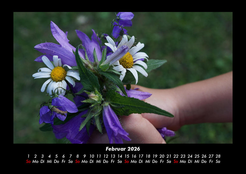 Blumenträume Fotokalender 2026 - 2