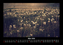 Blumenträume Fotokalender 2026 - 3