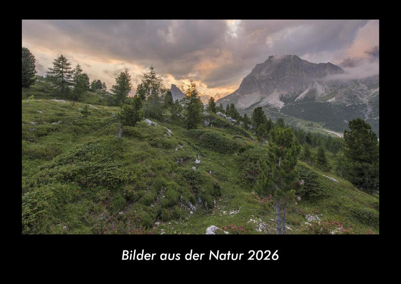 Bilder aus der Natur Fotokalender 2026 - Hauptbild
