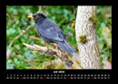 Bilder aus der Natur Fotokalender 2026 - 7