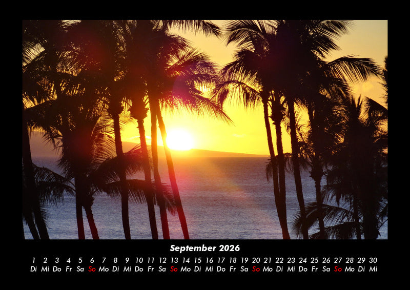 Palmentraum Fotokalender 2026 - 9