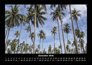 Palmentraum Fotokalender 2026 - 12