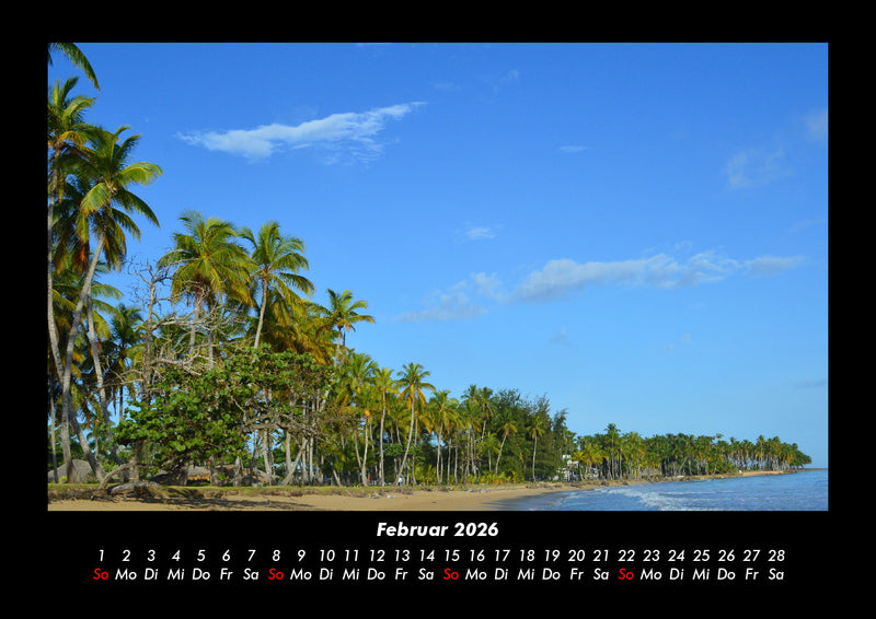 Palmentraum Fotokalender 2026 - 2