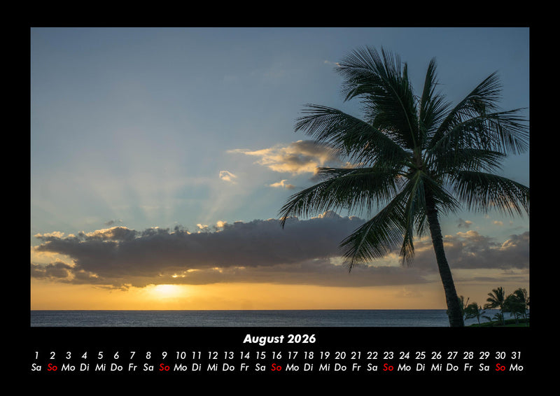 Palmentraum Fotokalender 2026 - 8
