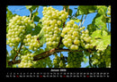 Obstkalender Fotokalender 2026 - 1