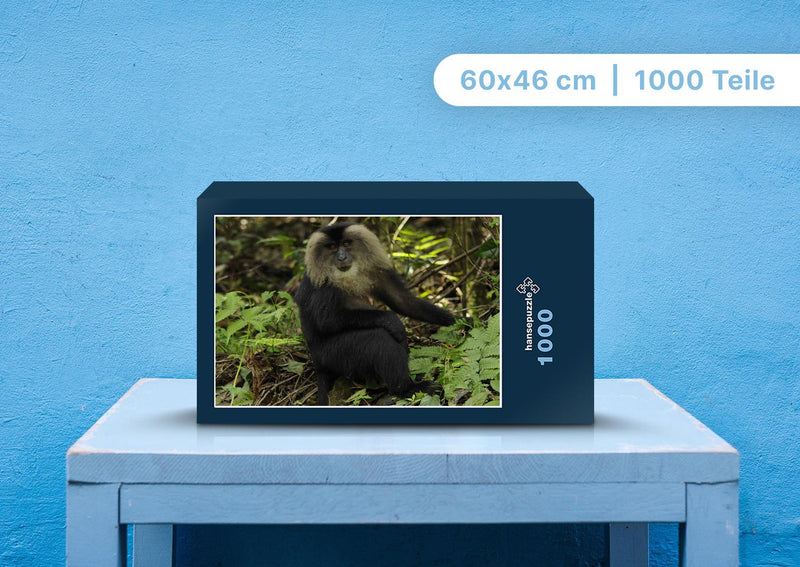 91546 Tierwelt - Affe