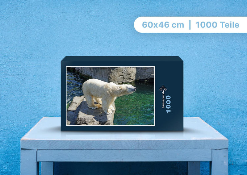 94170 Tierwelt - Eisbär auf Fels