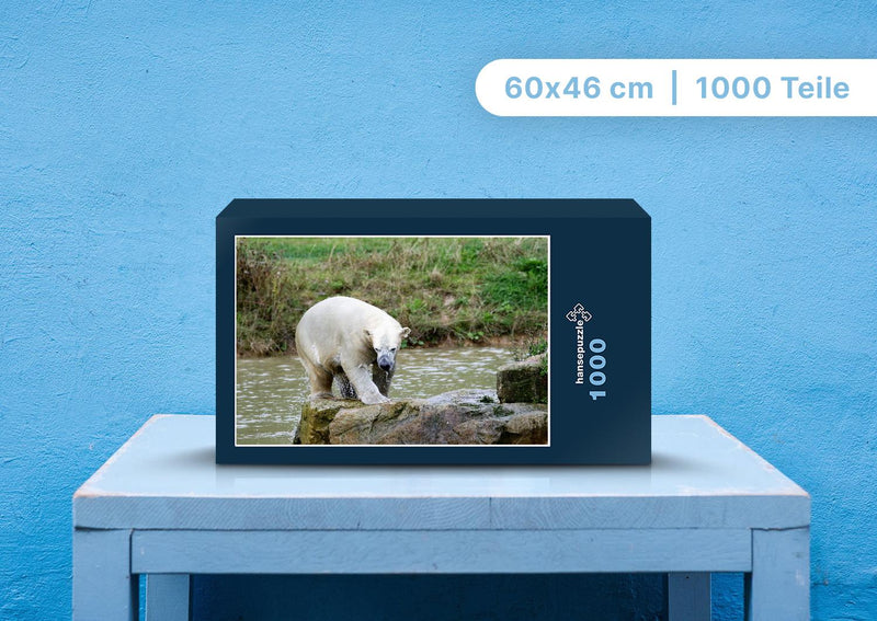 94128 Tierwelt - Eisbär auf Fels