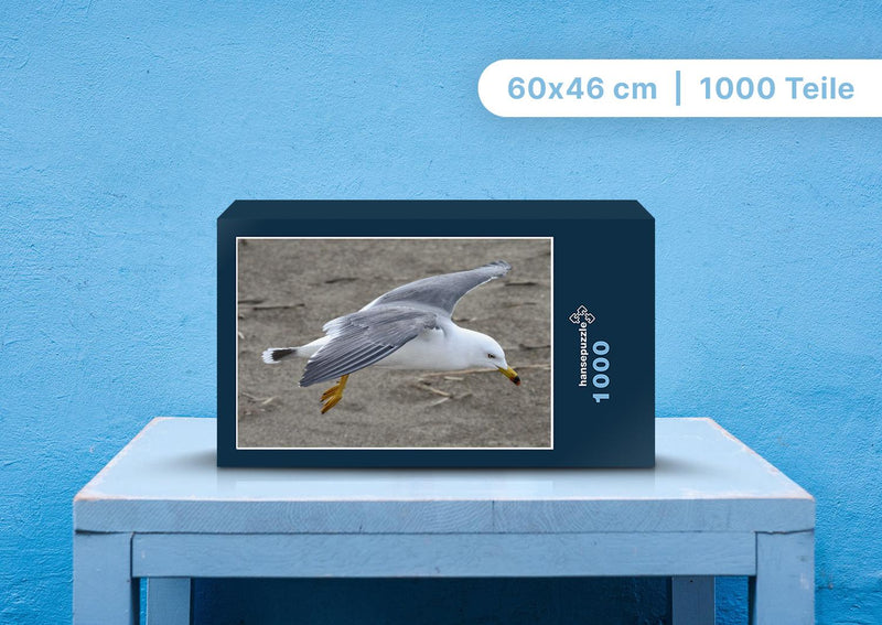 91712 Tierwelt - Die Seemöve