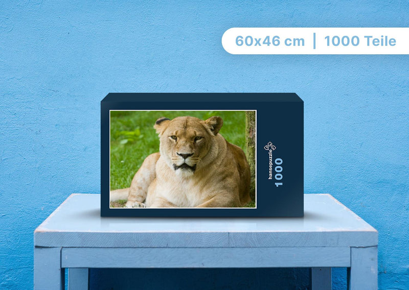90560 Tierwelt - Löwin