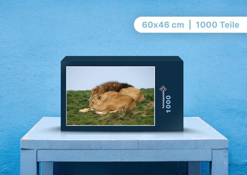 92101 Tierwelt - Löwenpaar