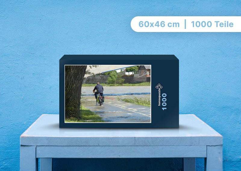 89985 Fortbewegung - Radfahrer