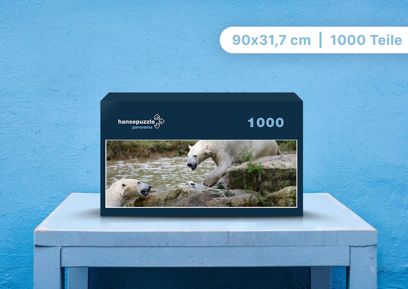 94070 Tierwelt - Eisbären